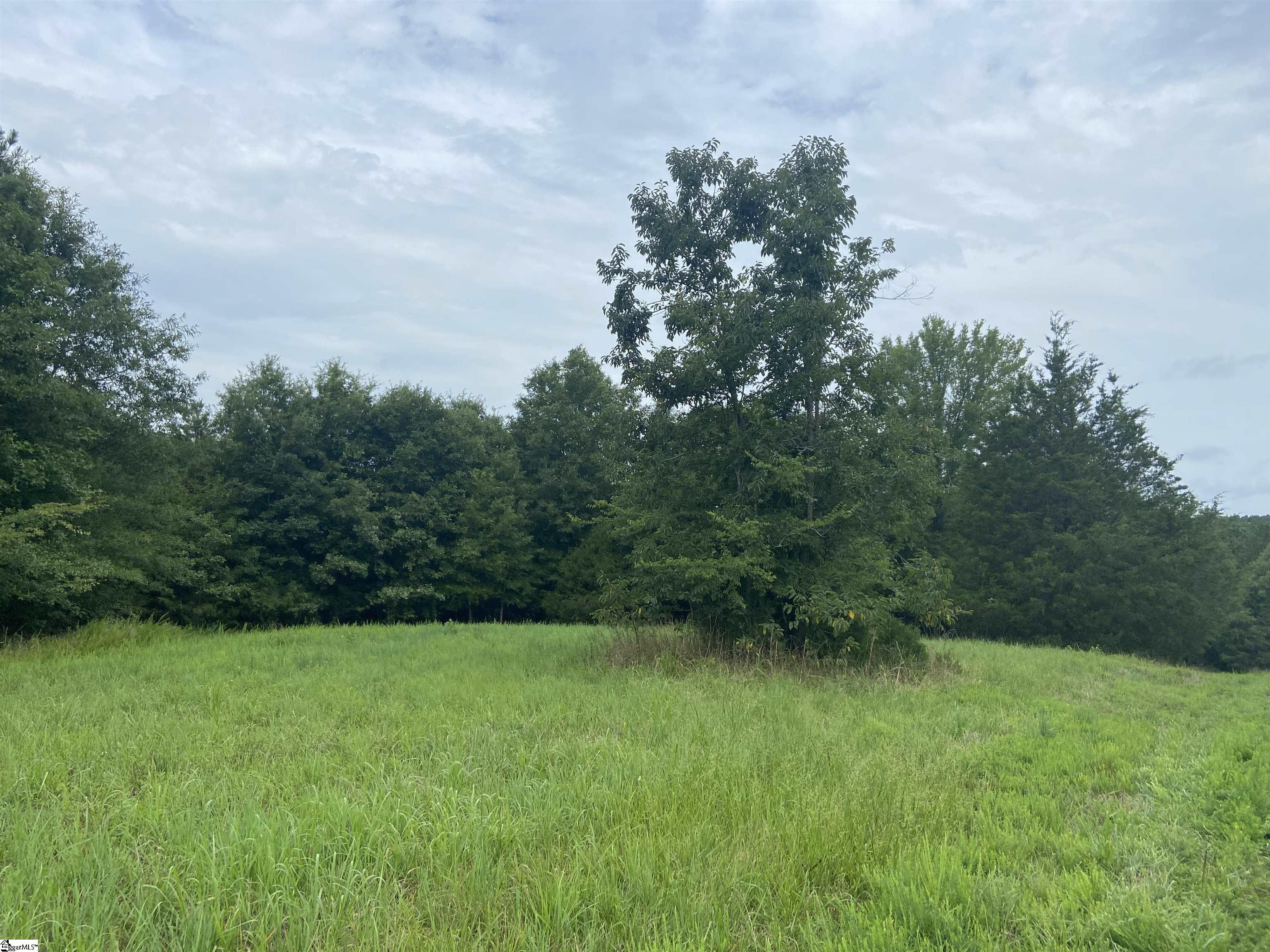 Catfish Cove Road Waterloo, SC 29384 - Photo 18 of 21