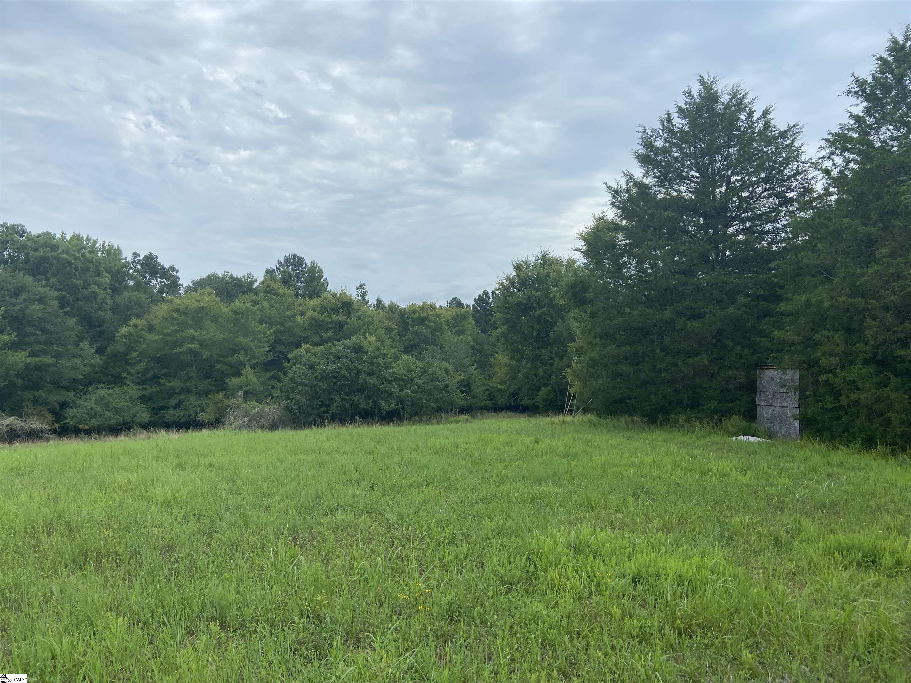 Catfish Cove Road Waterloo, SC 29384 - Photo 19 of 21