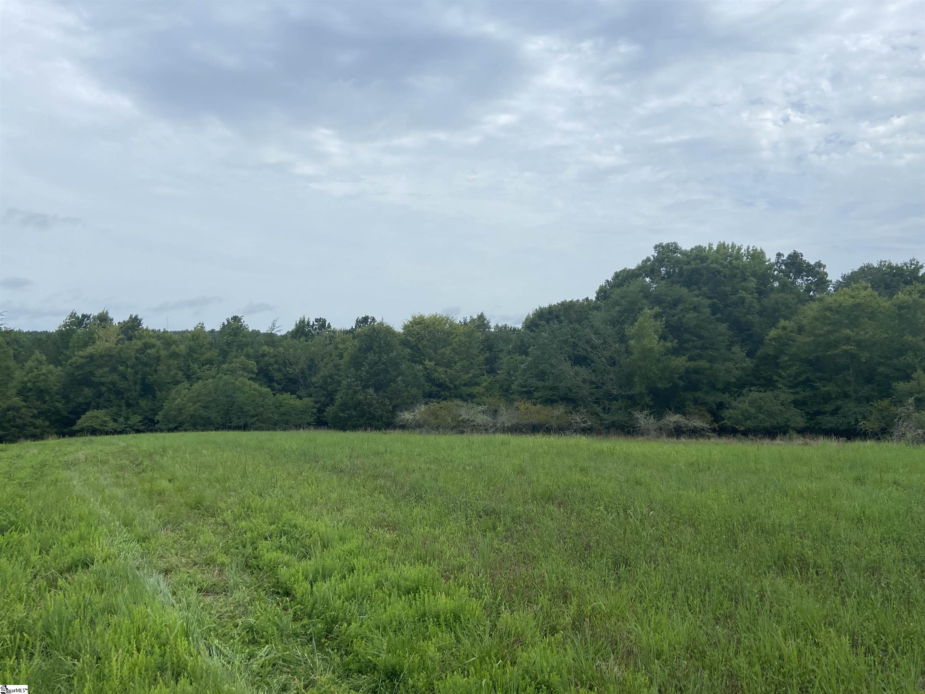 Catfish Cove Road Waterloo, SC 29384 - Photo 20 of 21