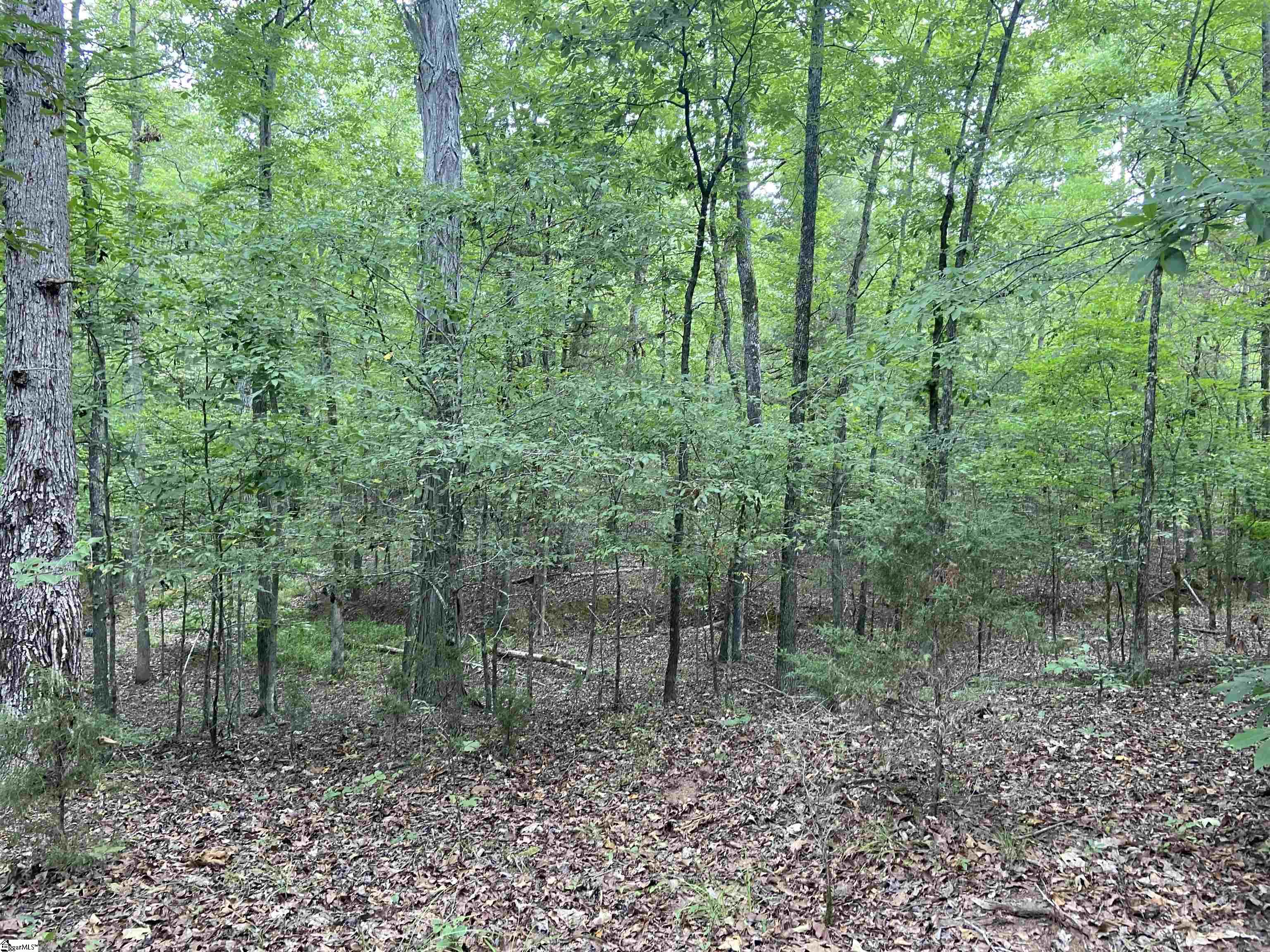 Catfish Cove Road Waterloo, SC 29384 - Photo 2 of 21
