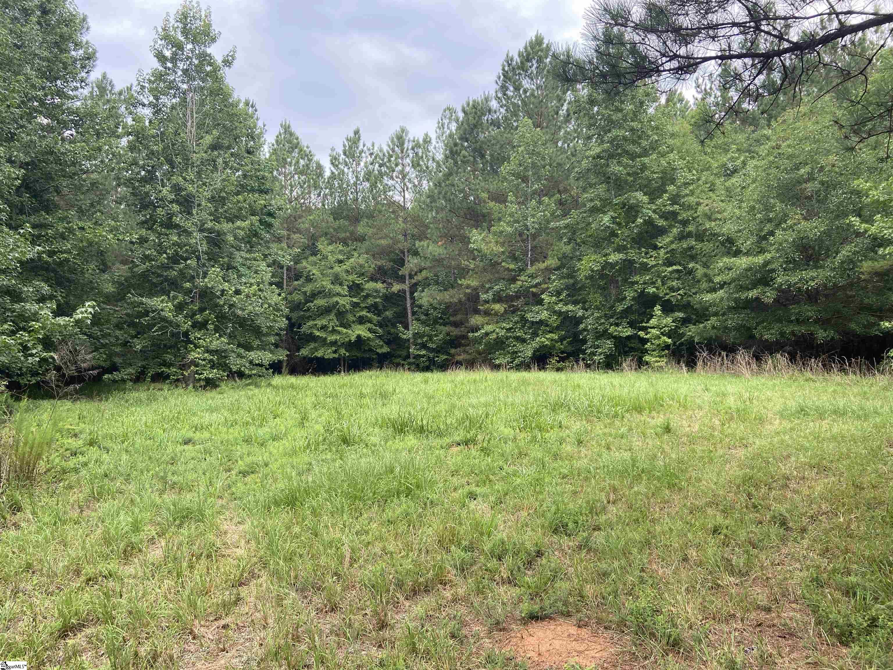 Catfish Cove Road Waterloo, SC 29384 - Photo 5 of 21