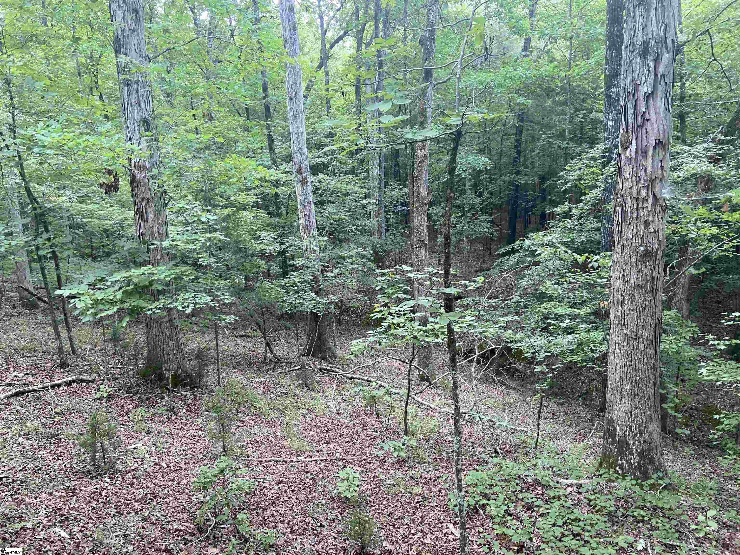 Catfish Cove Road Waterloo, SC 29384 - Photo 10 of 21