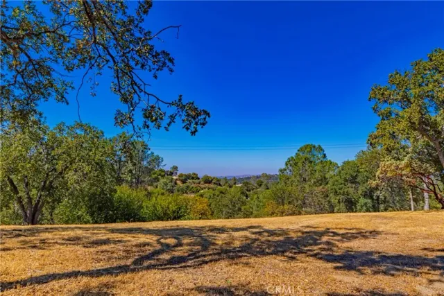 a view of a green field