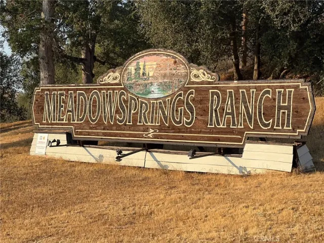 a view of a yard with an trees