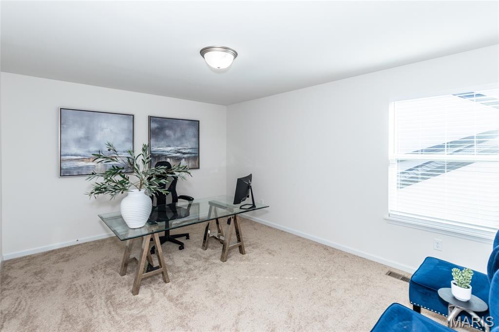 7474 Shadow Point Drive St. Louis, MO 63129 - Photo 40 of 66