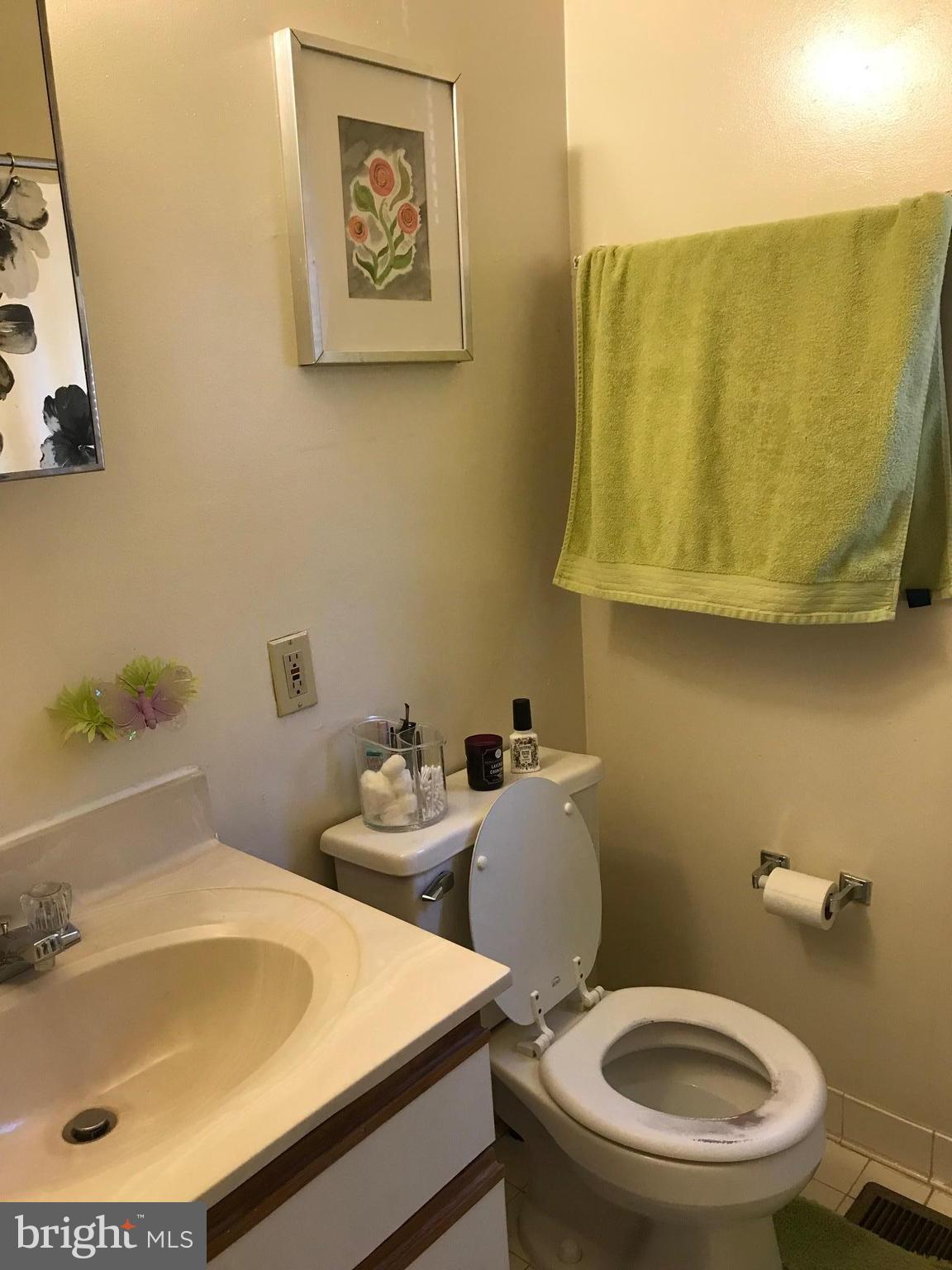 617 South Paca Street Baltimore, MD 21230 - Photo 2 of 25 Lower Unit - Sole Bathroom