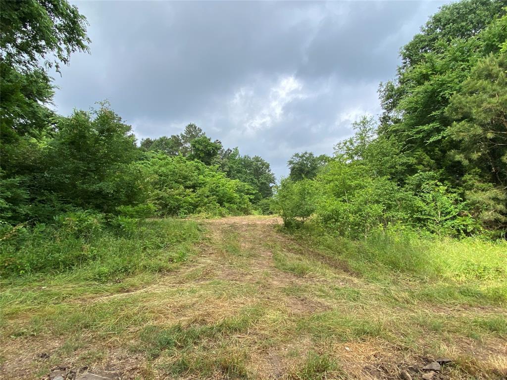 5511 Snapdragon Road Ore City, TX 75683 - Photo 1 of 1 Gallery Image 1