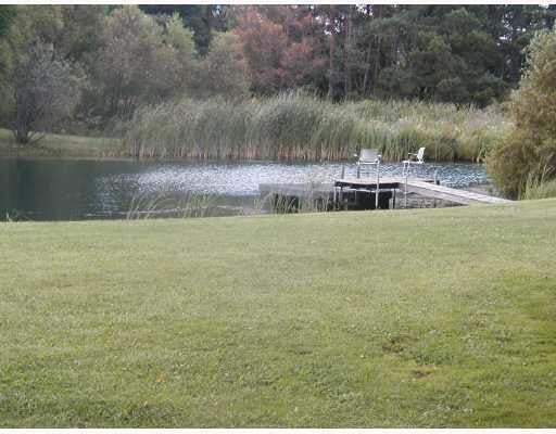 12170 Riethmiller Road Grass Lake, MI 49240 - Photo 3 of 30 20231013234125324712000000-o