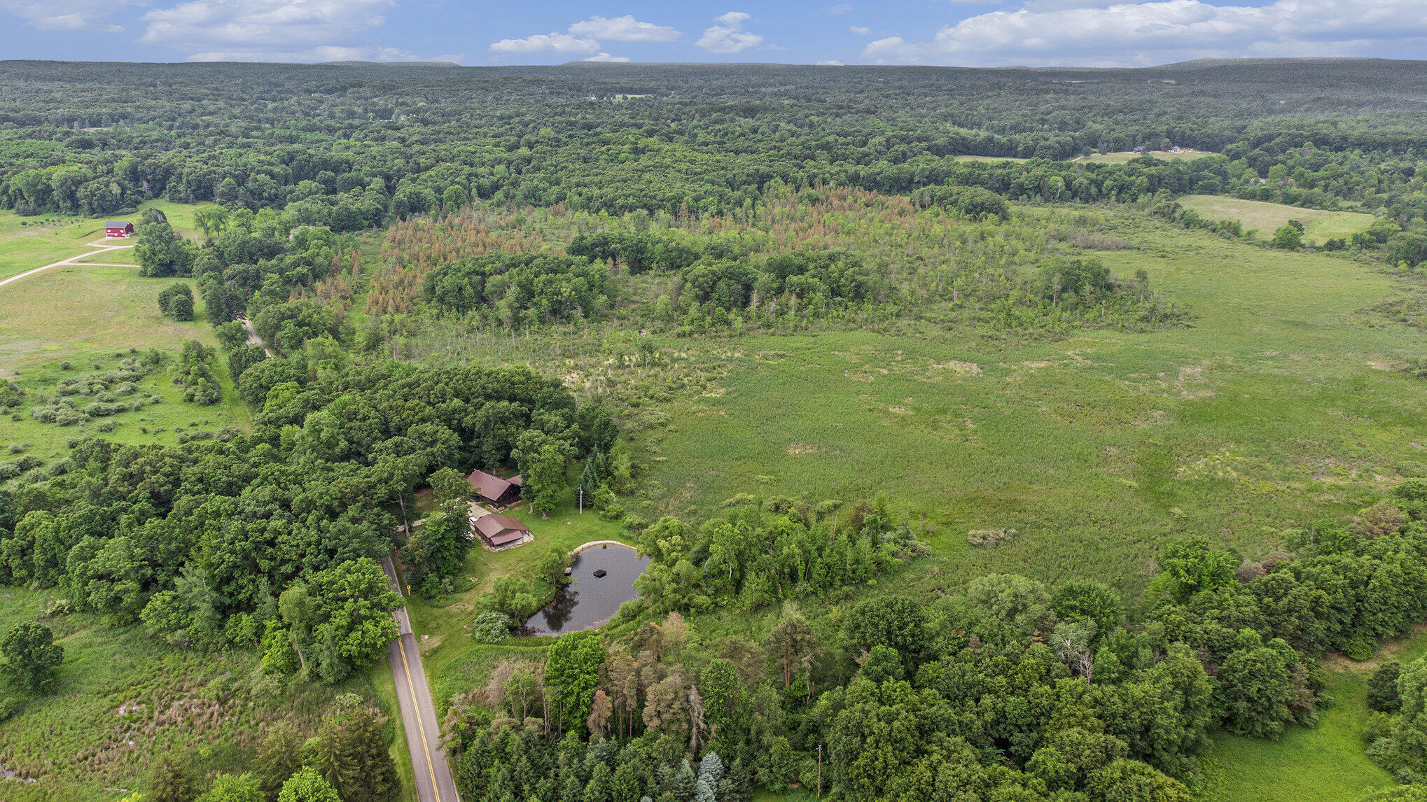12170 Riethmiller Road Grass Lake, MI 49240 - Photo 5 of 30 018_dji_0274_118