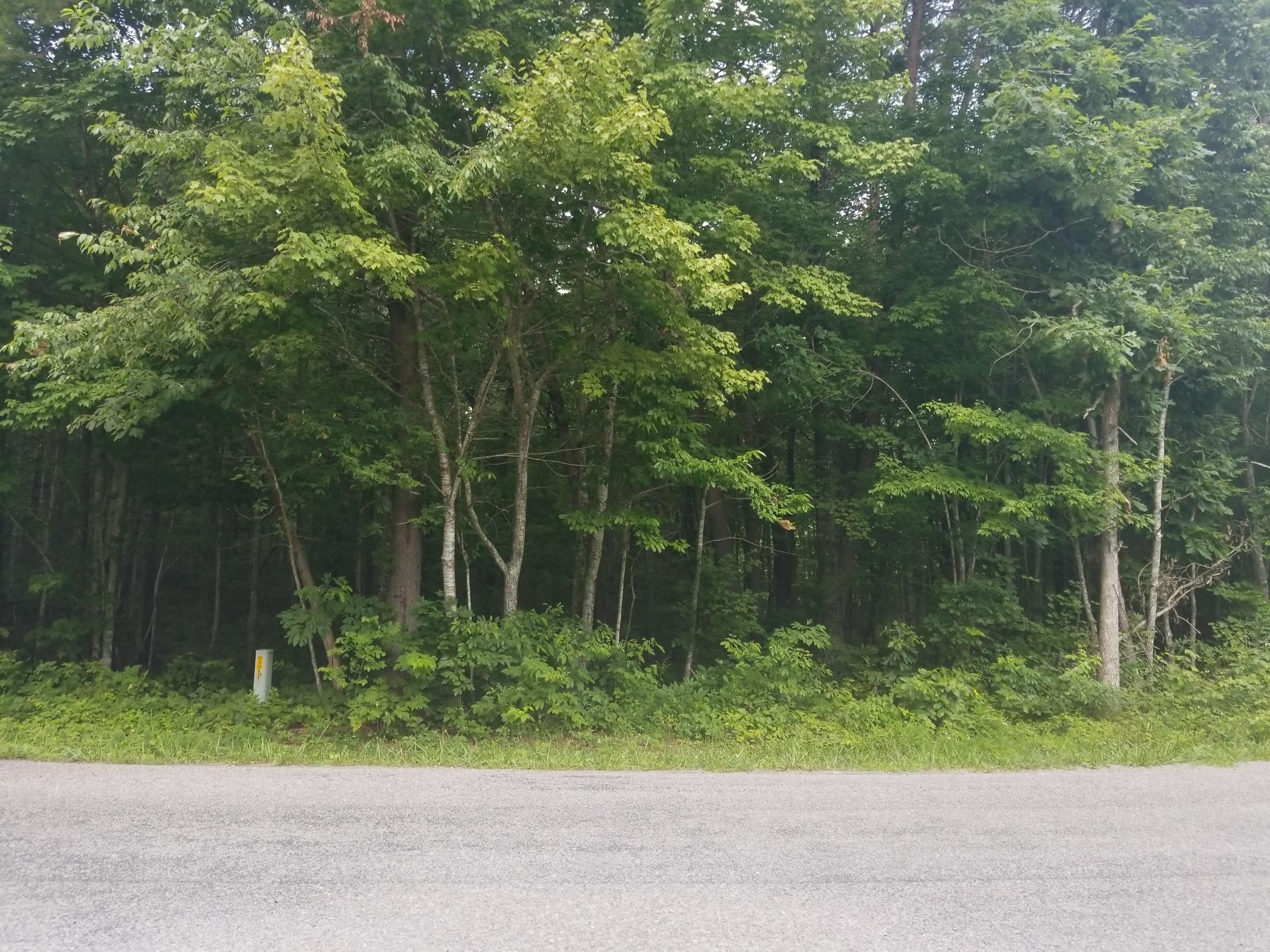 1198 Woods Road Dunlap, TN 37327 - Photo 2 of 26 Gallery Image 2