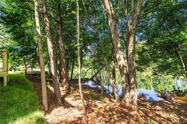 a view of a forest with trees