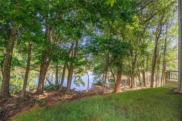 a view of a backyard with trees