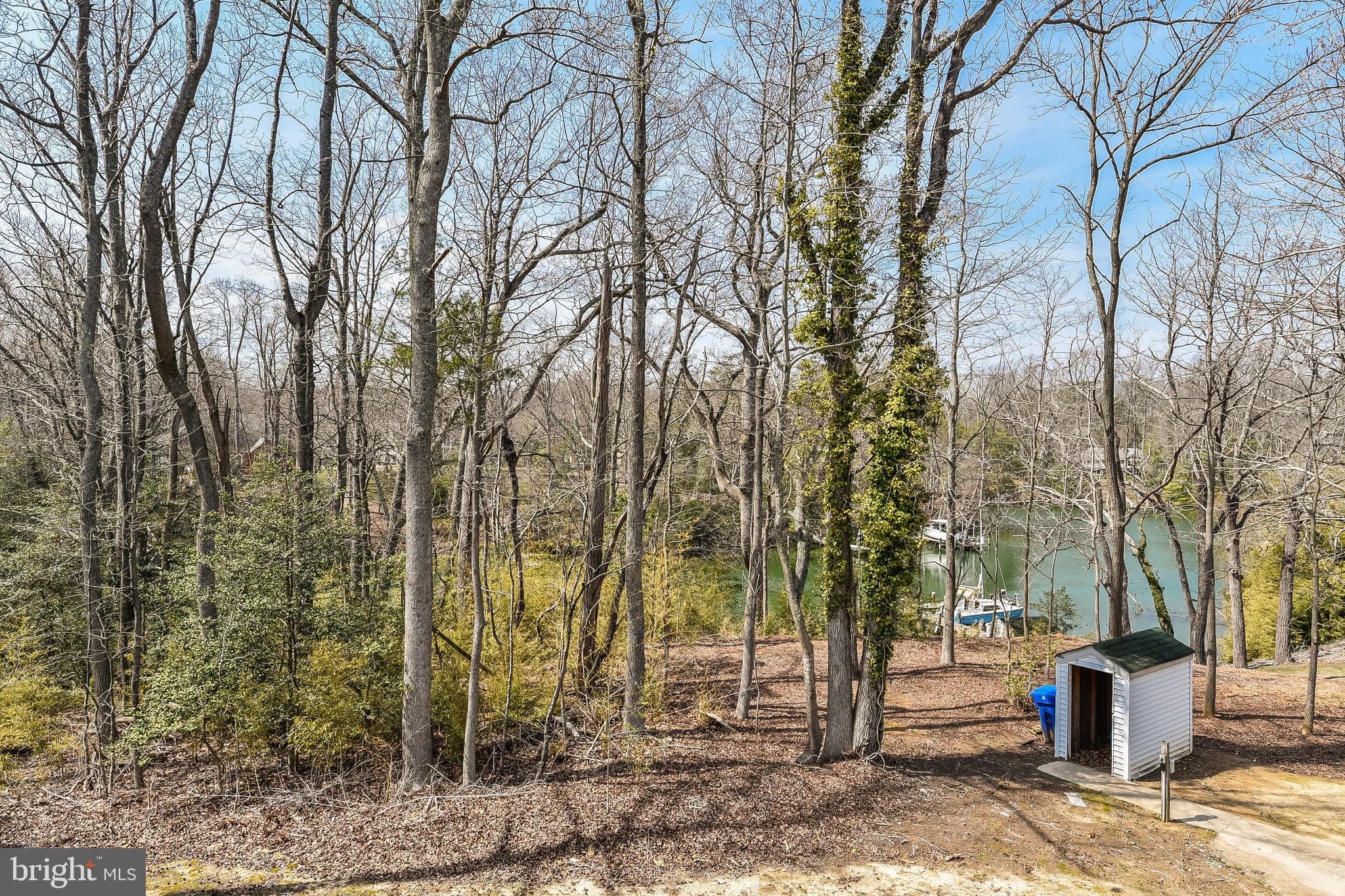 23680 West Patuxent Beach Road California, MD 20619 - Photo 5 of 38 a view of outdoor space with trees