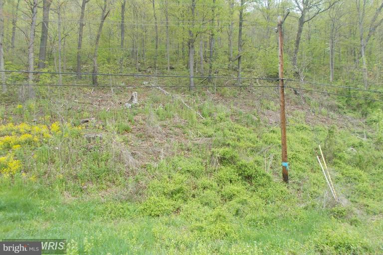 Wellersburg Rd Mount Cumberland, MD 21502 - Photo 2 of 7 Exterior (Front)