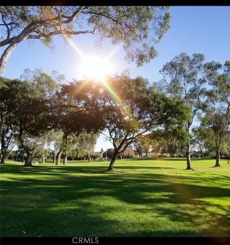 a view of a big yard with a garden and trees