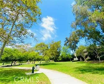 a view of a park with trees