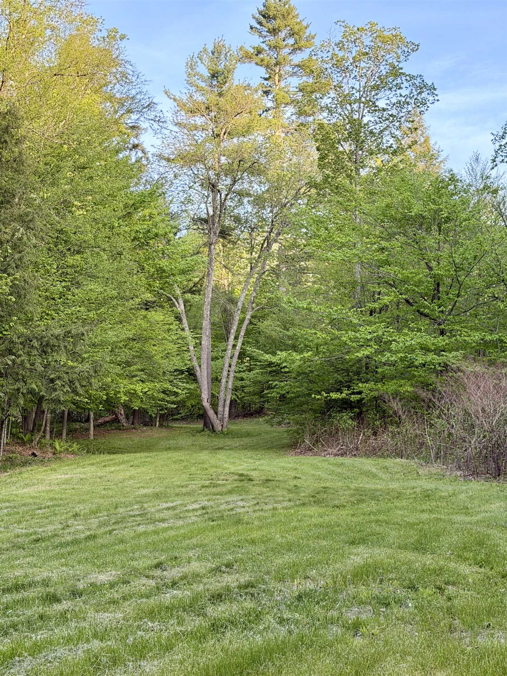 250 Fenton Road Chester, VT 05143 - Photo 16 of 29
