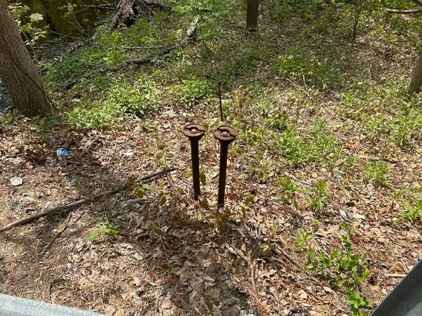 a view of a house with a tree