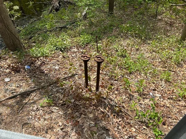 a view of a house with a tree