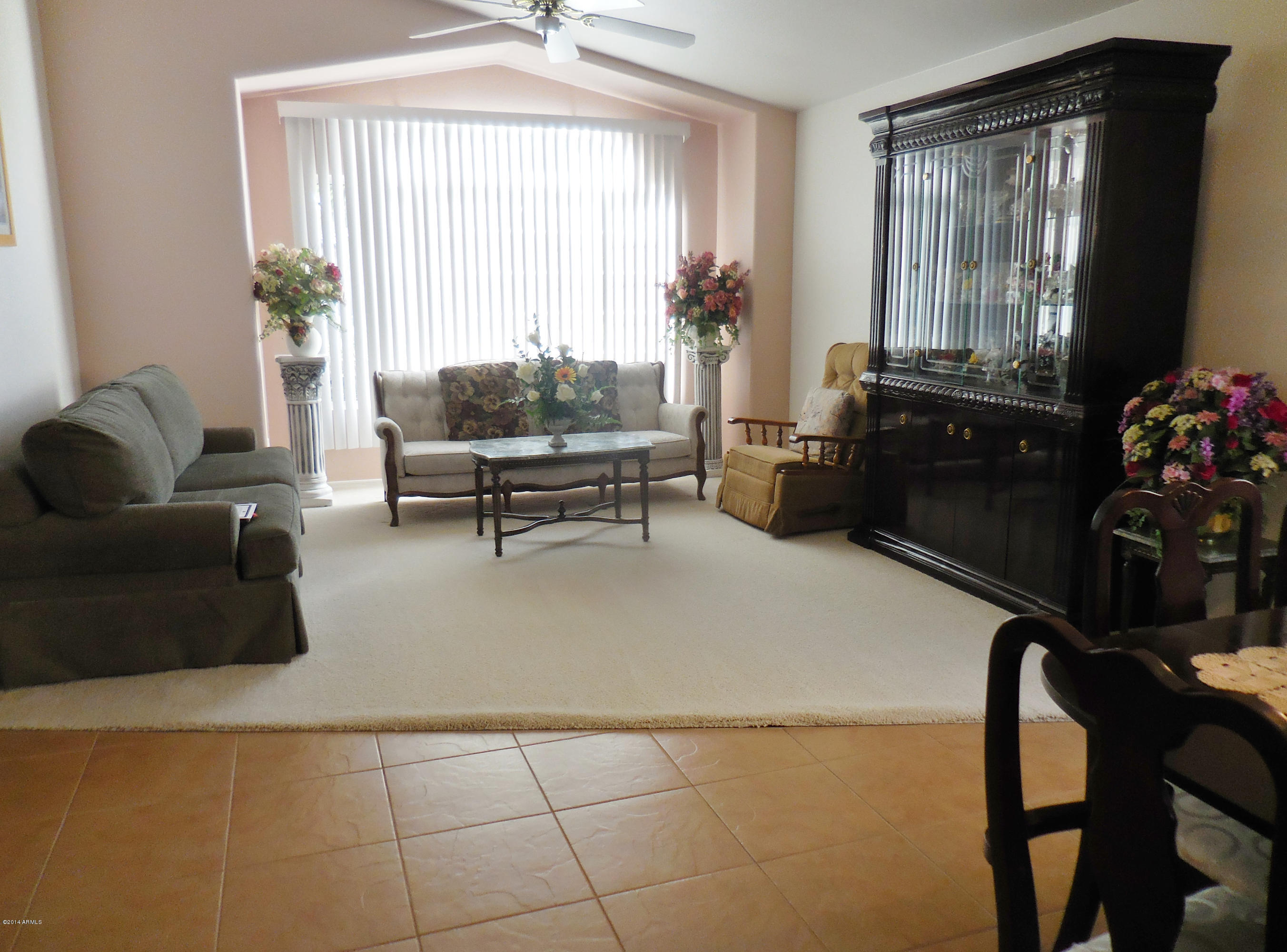 20067 North 110th Lane Sun City, AZ 85373 - Photo 3 of 16 DSCN1005