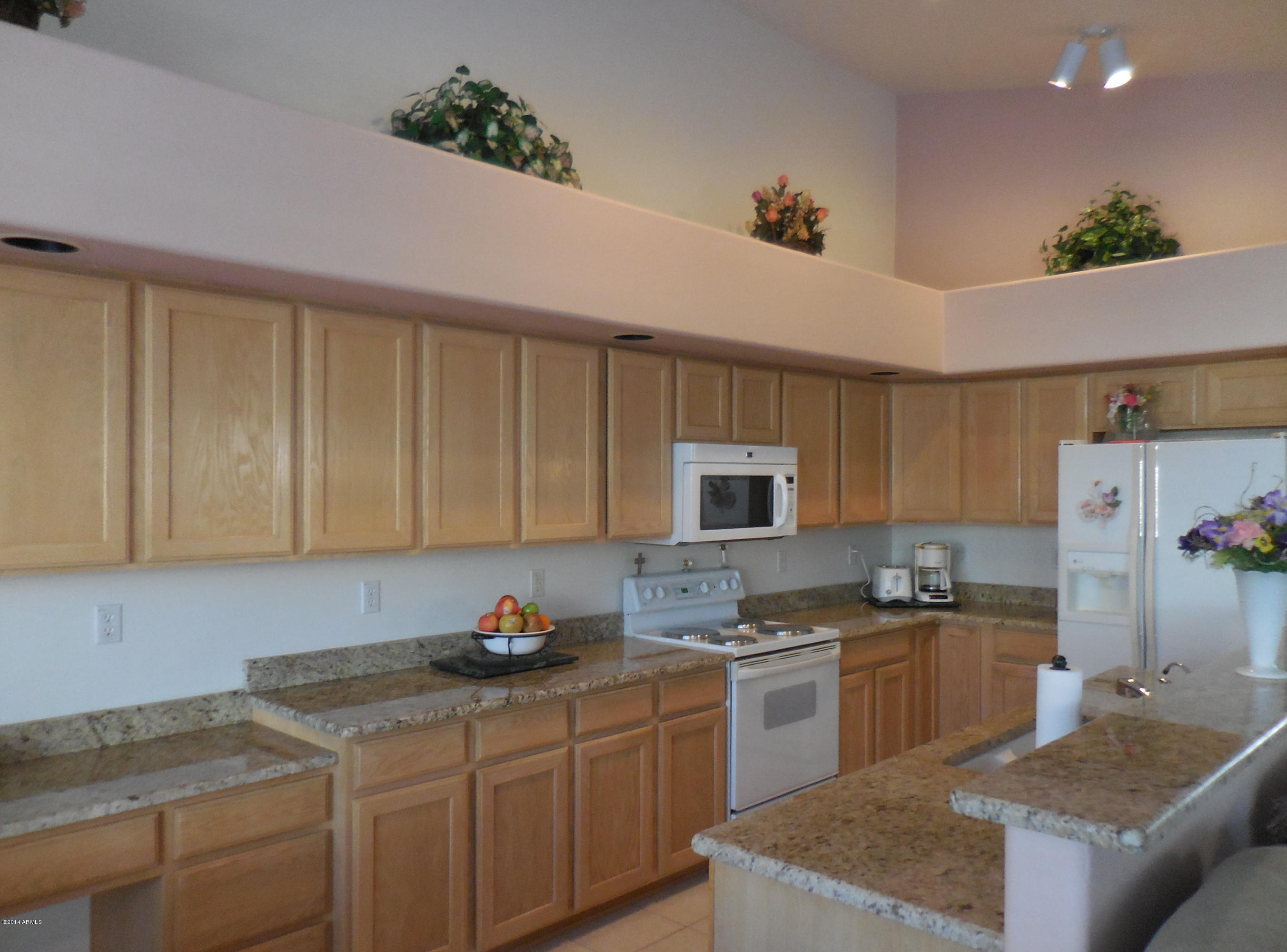 20067 North 110th Lane Sun City, AZ 85373 - Photo 4 of 16 DSCN0988