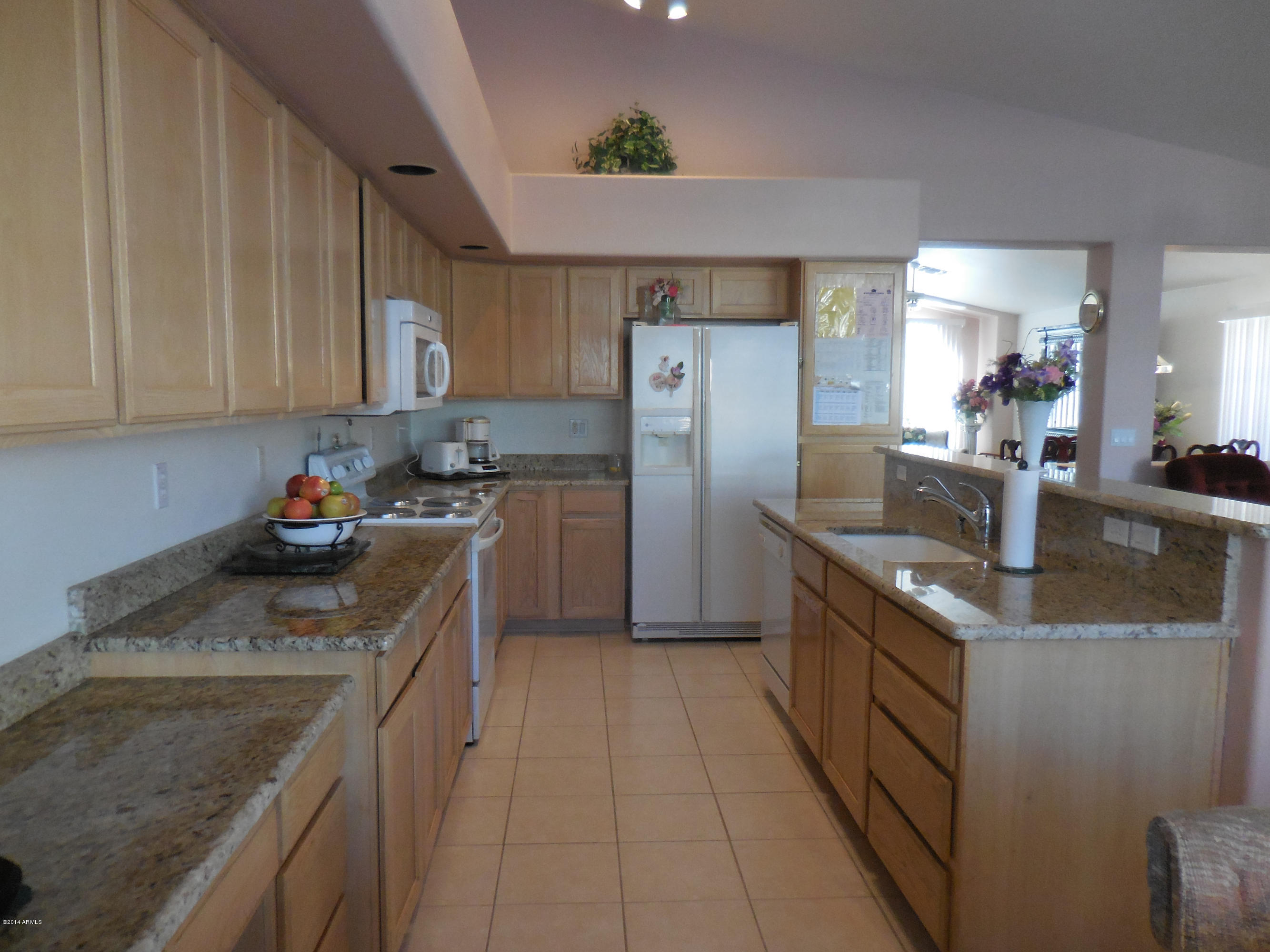 20067 North 110th Lane Sun City, AZ 85373 - Photo 6 of 16 DSCN0990