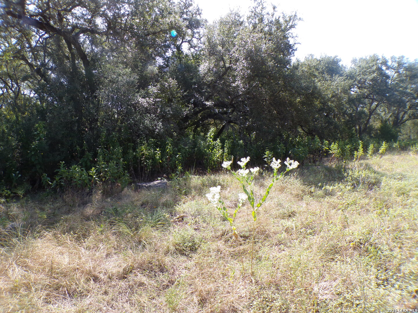 31401 Smithson Valley Road Bulverde, TX 78163 - Photo 7 of 12 Gallery Image 7
