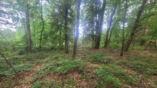 $177,900 | 1429 Casey Creek Road, Chesnee, SC 29323