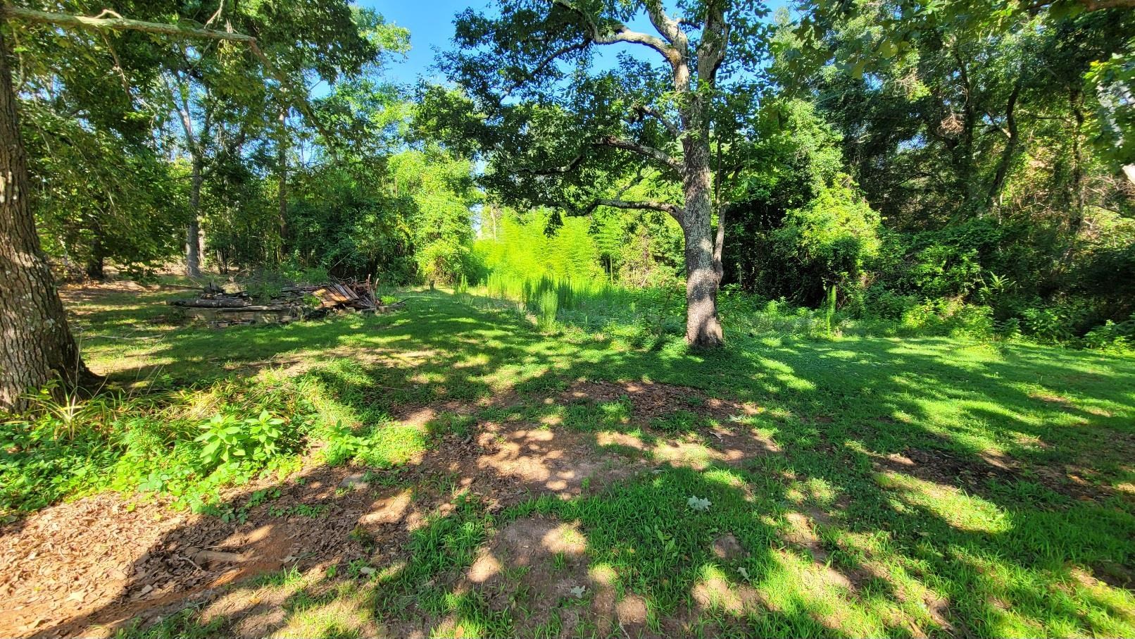 1429 Casey Creek Road Chesnee, SC 29323 - Photo 8 of 11