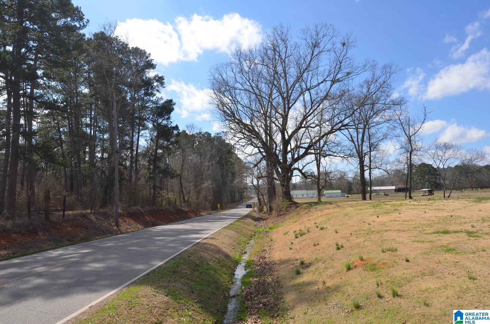 2093 Dearmanville Road Anniston, AL 36207 - Photo 3 of 32