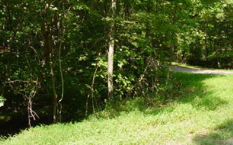 514 Modal Lane Ellijay, GA 30540 - Photo 1 of 1 Main View