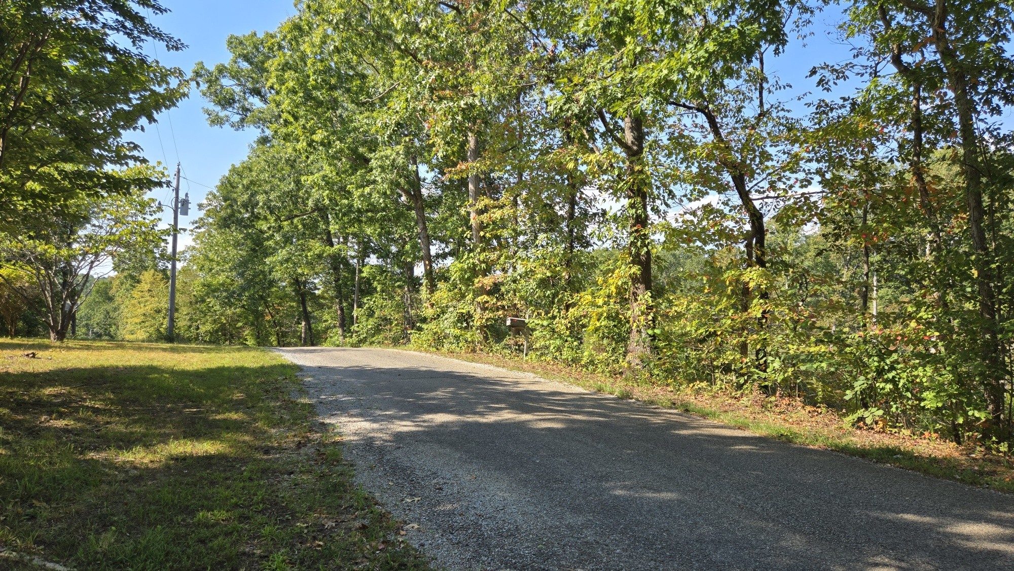 95 Ratteree Road Buchanan, TN 38222 - Photo 26 of 33 a view of road and trees