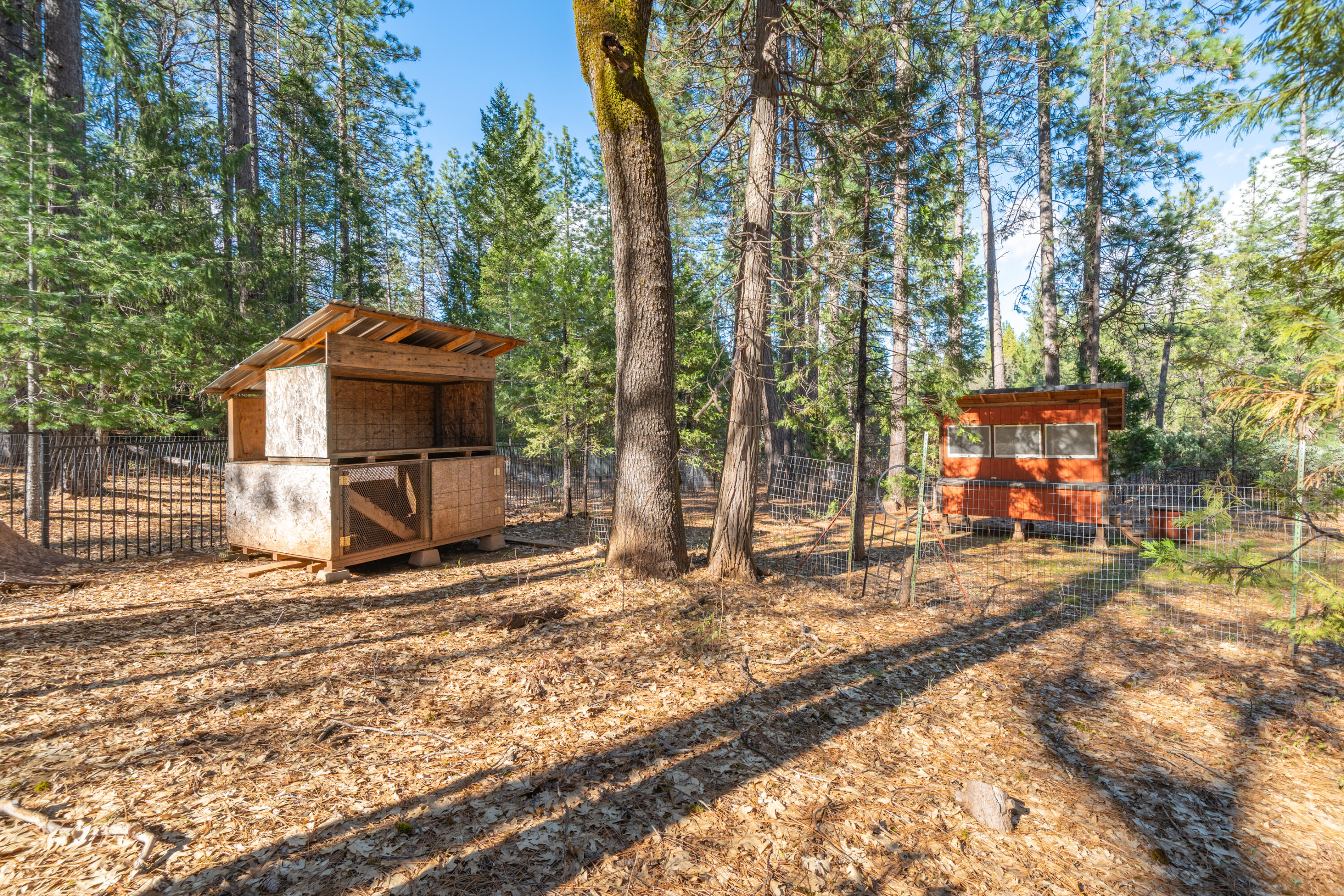 29276 Bullskin Ridge Road Oak Run, CA 96069 - Photo 64 of 113 29276 Bullskin Ridge Rd-121