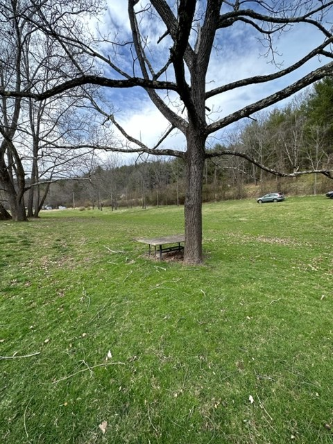 Tbd Riverside Drive, Unit F Independence, VA 24348 - Photo 6 of 12 Gallery Image 6
