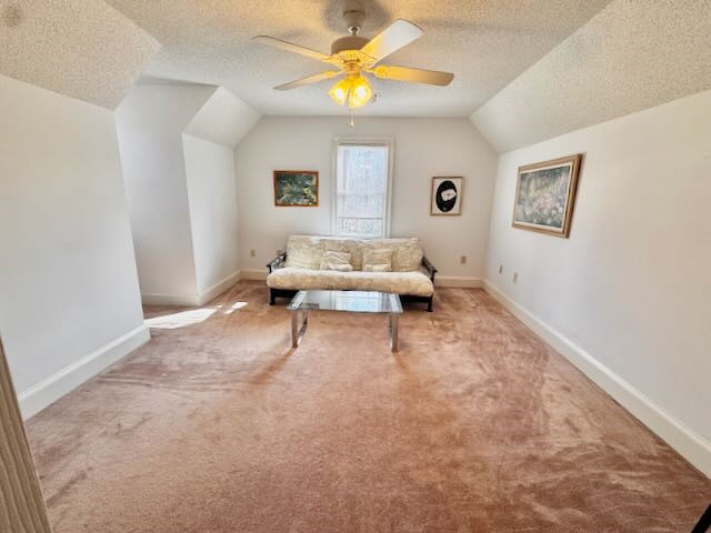 104 Combahee Court Clemson, SC 29631 - Photo 33 of 45 Bonus Room - could be another bedroom