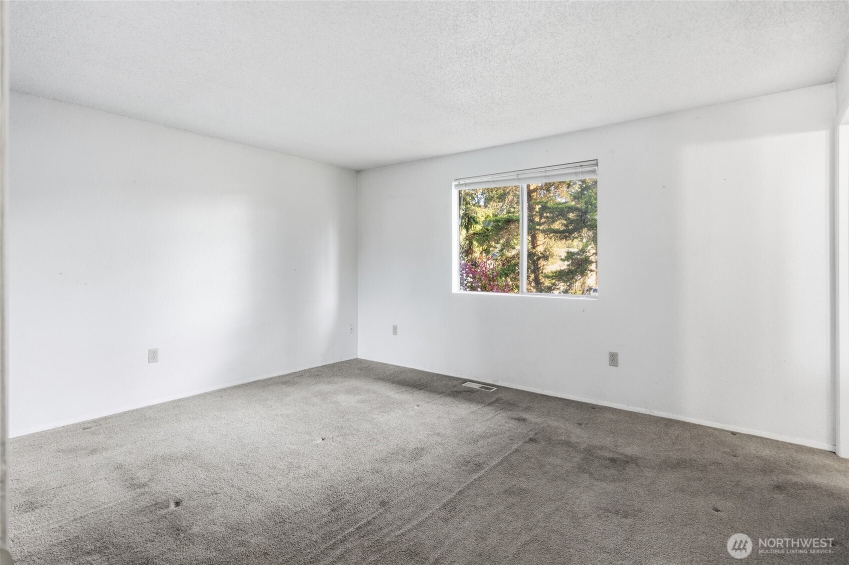 3713 Southwest 338th Place Federal Way, WA 98023 - Photo 10 of 37