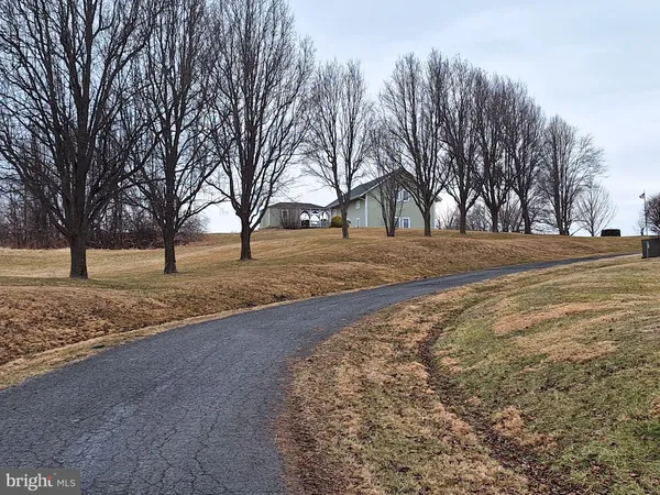 a view of empty yard with trees