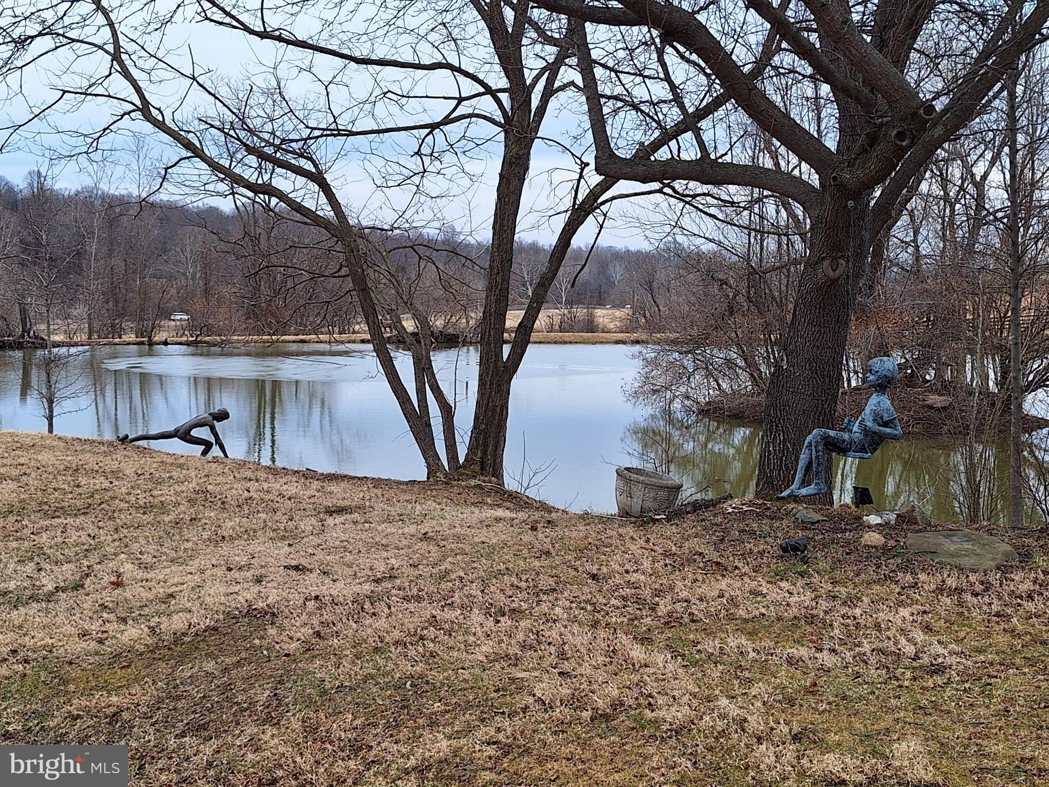 2254 Winchester Road Delaplane, VA 20144 - Photo 48 of 50 a view of backyard with tree