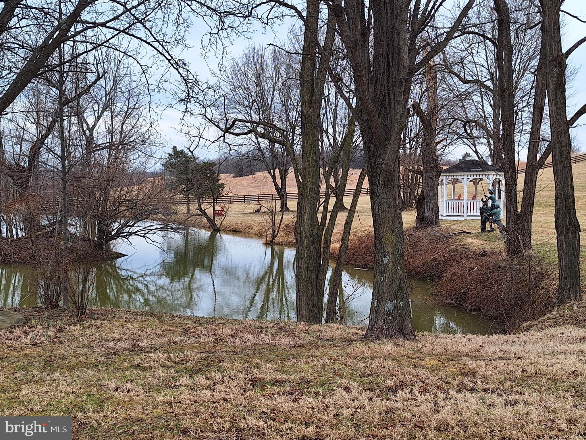 2254 Winchester Road Delaplane, VA 20144 - Photo 49 of 50 a view of a yard covered with snow in the front of house