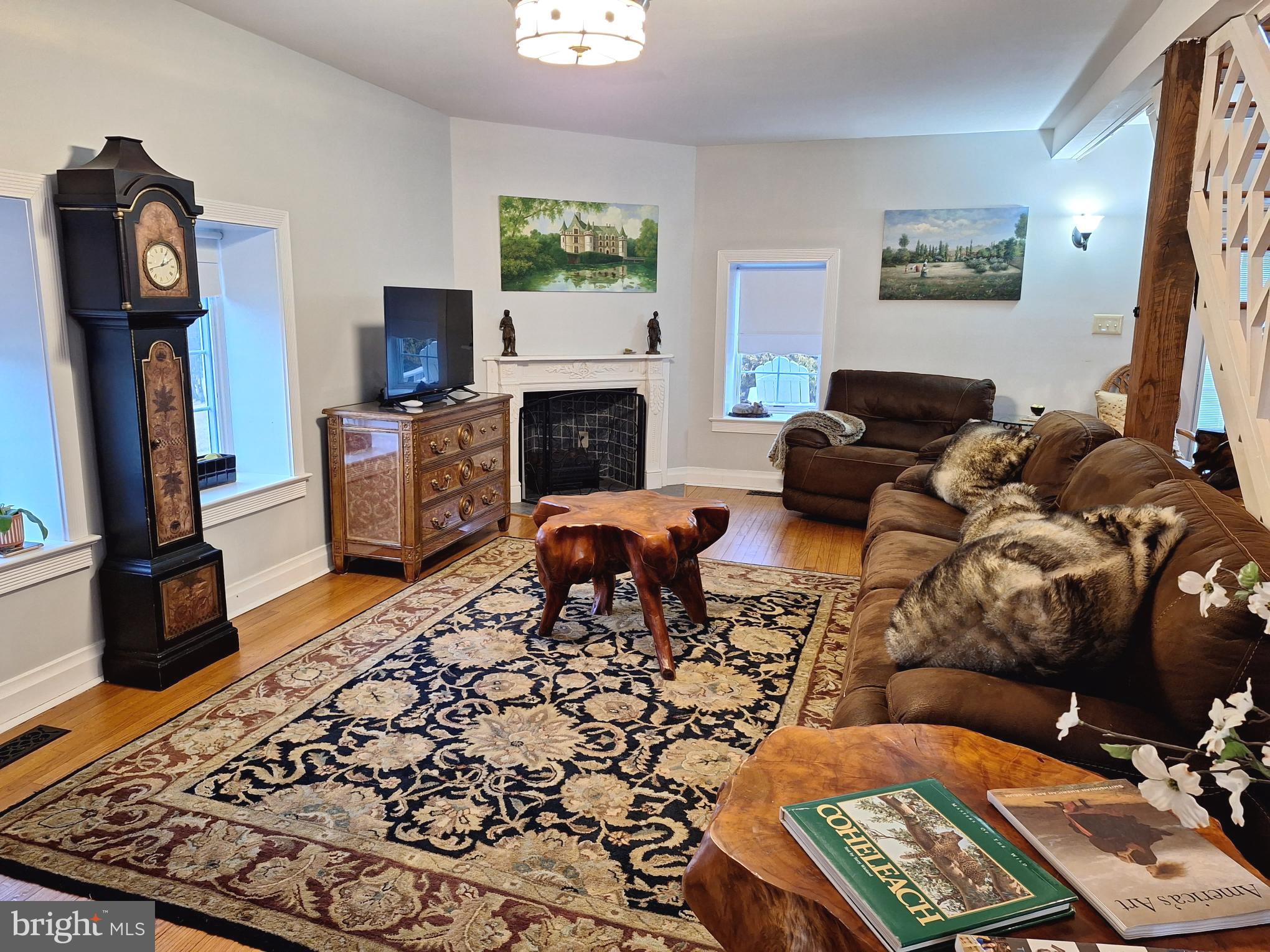 2254 Winchester Road Delaplane, VA 20144 - Photo 6 of 50 a living room with furniture a flat screen tv and a fireplace