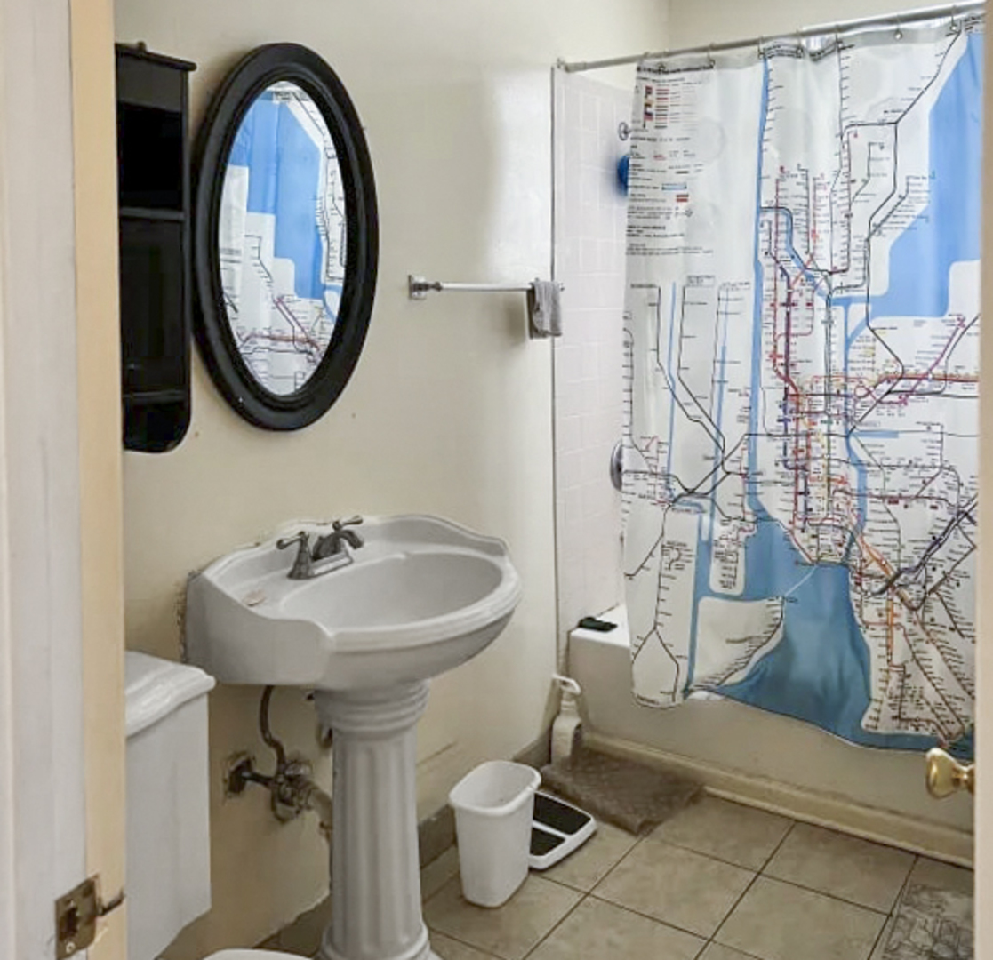 6818 South Harper Avenue Chicago, IL 60637 - Photo 4 of 5