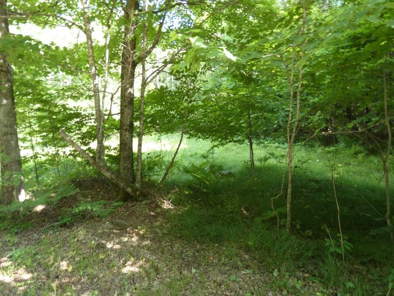 Lot 49 Camp 6 Loop Road Laona, WI 54541 - Photo 3 of 7 Gallery Image 3