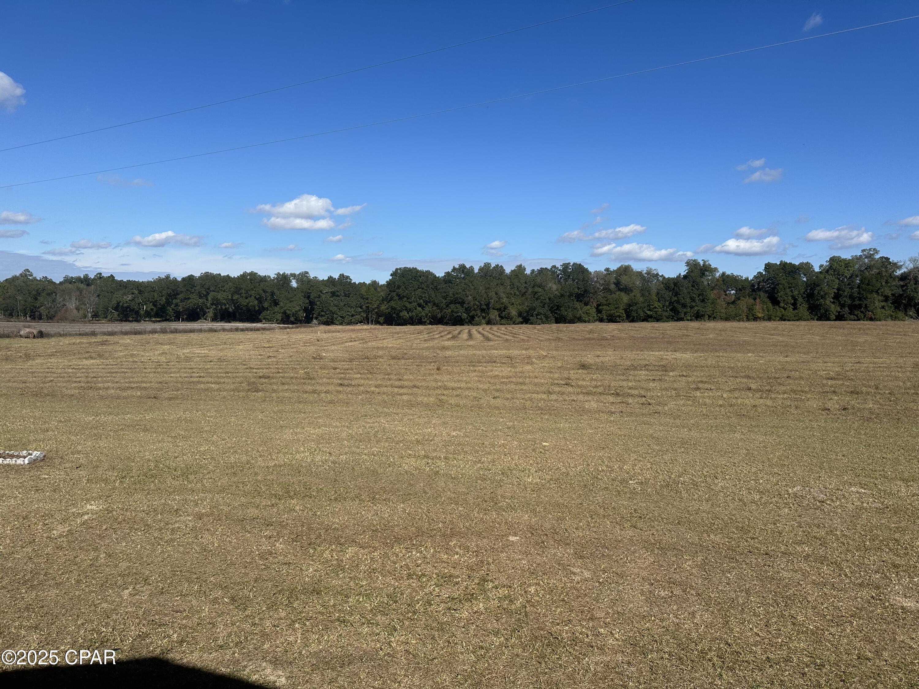 4584 Dunaway Road Bascom, FL 32423 - Photo 19 of 45