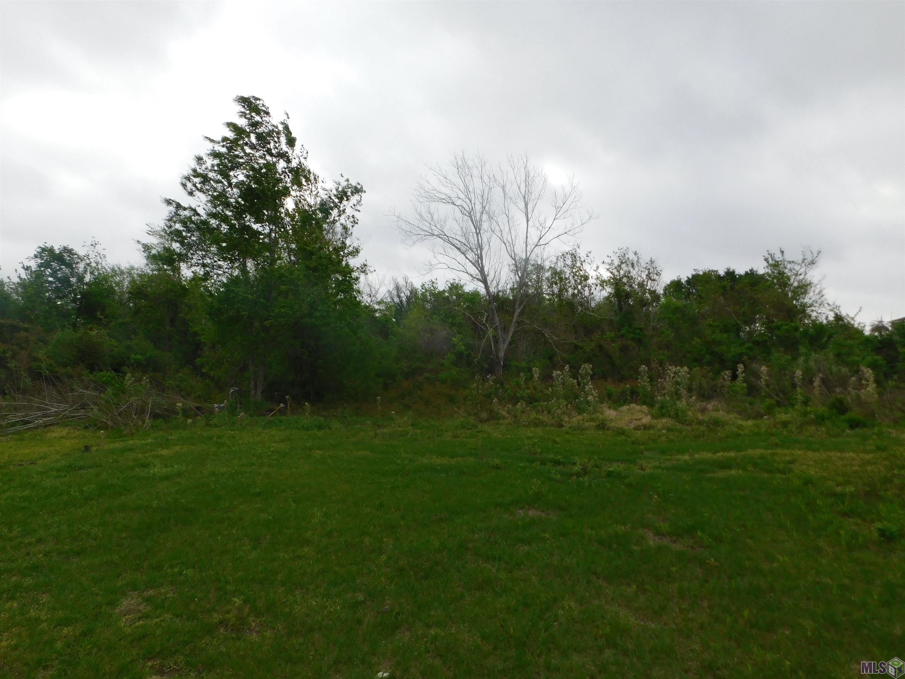 6967 Grand Caillou Road Dulac, LA 70353 - Photo 9 of 20