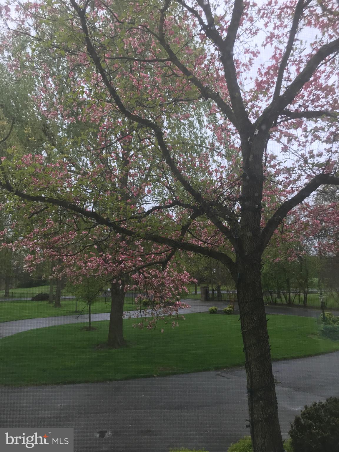 341 Tom Brown Road Moorestown, NJ 08057 - Photo 42 of 43