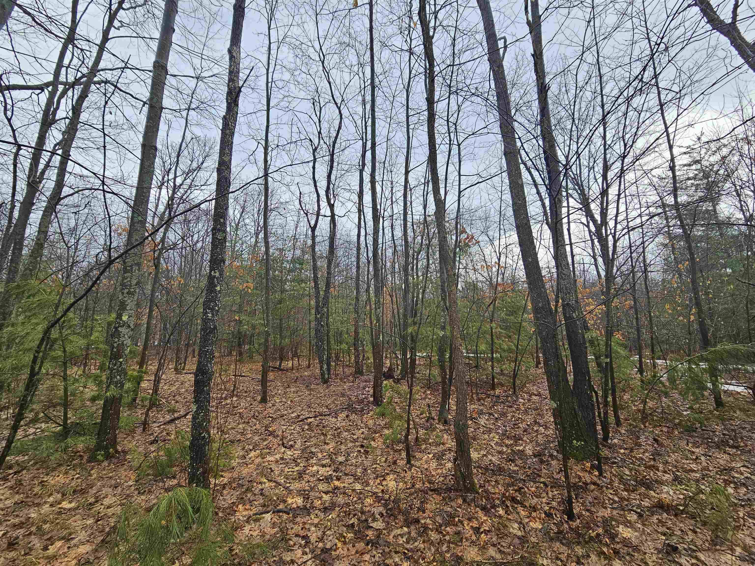 1407 South La Chance Road Lake City, MI 49651 - Photo 26 of 34