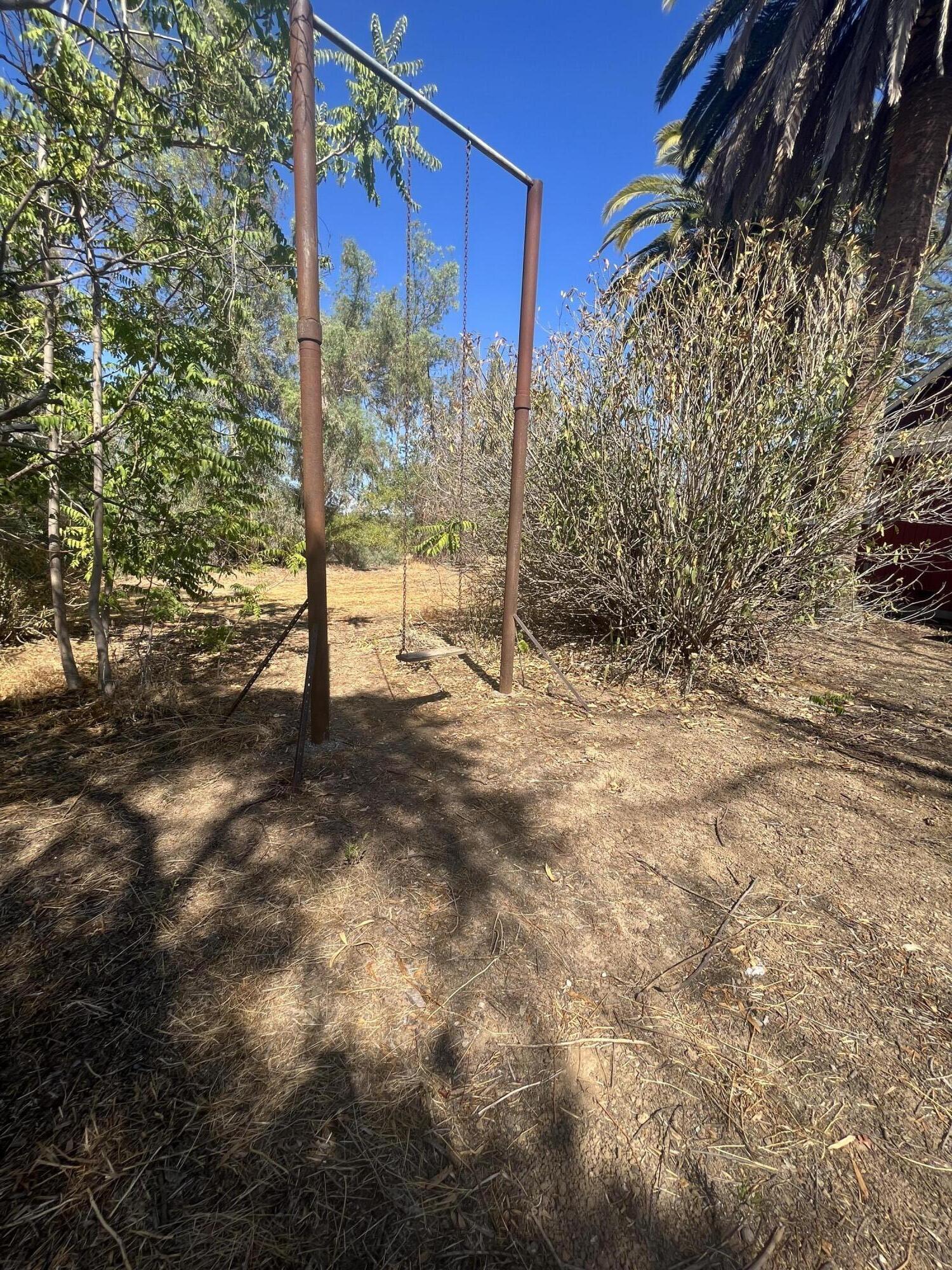 2713 Woodson Avenue Corning, CA 96021 - Photo 38 of 38 a view of a forest with a tree