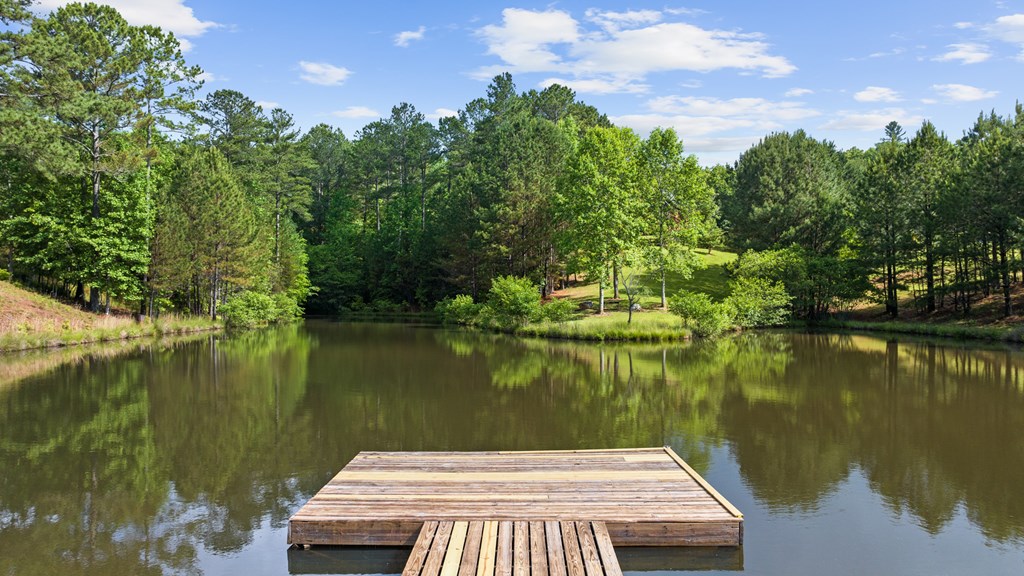 325 Emelia Road Morganton, GA 30560 - Photo 29 of 59 Gallery Image 29