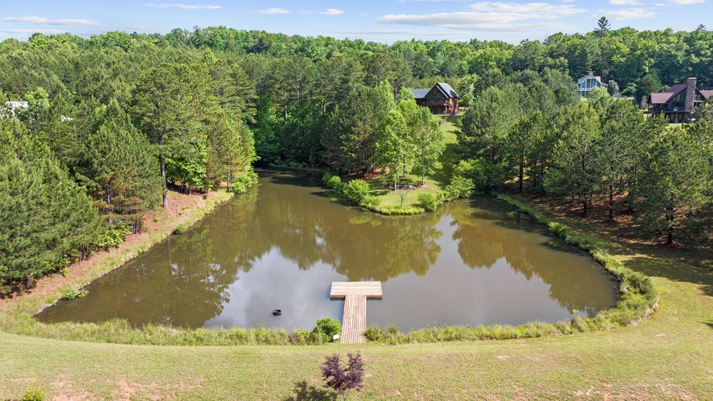 325 Emelia Road Morganton, GA 30560 - Photo 30 of 59 Gallery Image 30