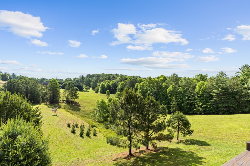 325 Emelia Road Morganton, GA 30560 - Photo 46 of 59 Gallery Image 46